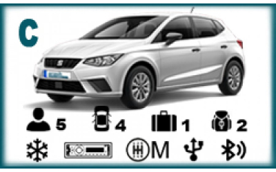 Arash Rent a Car - Seat Ibiza or similar